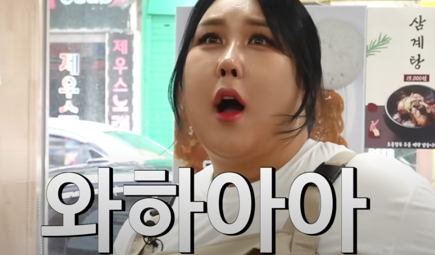 또간집 풍자 천안 진주회관 소개