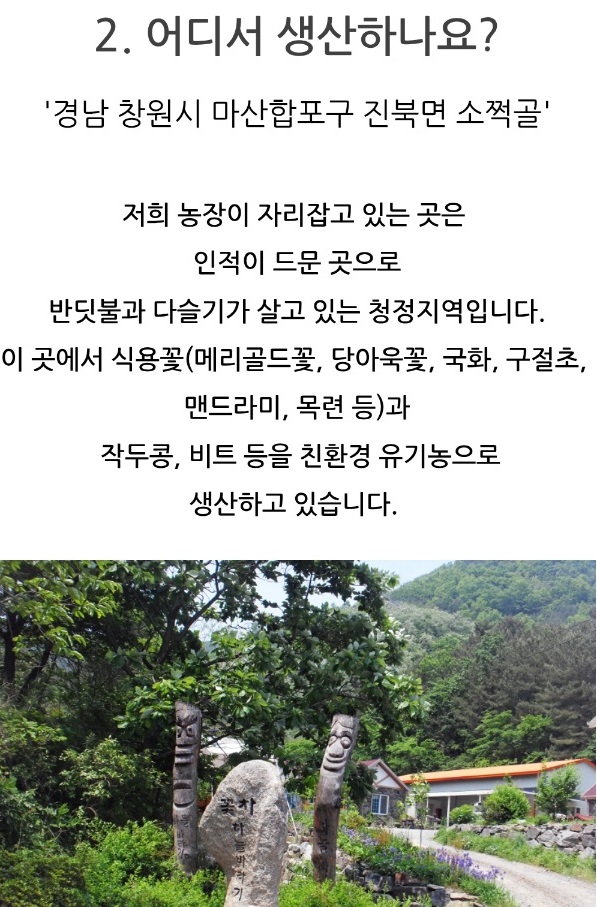 생생정보-창원-꽃차