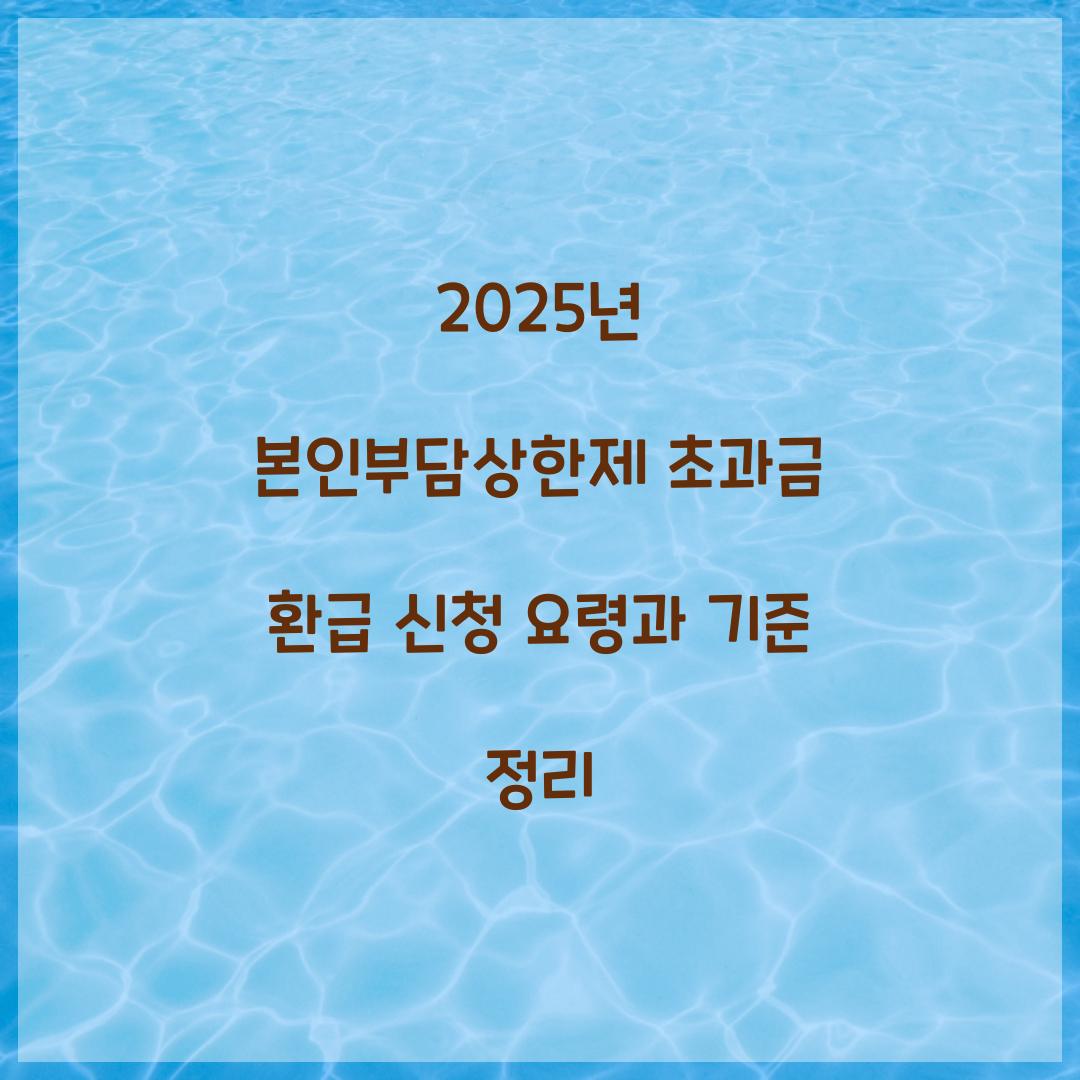 2025년 본인부담상한제 초과금 환급