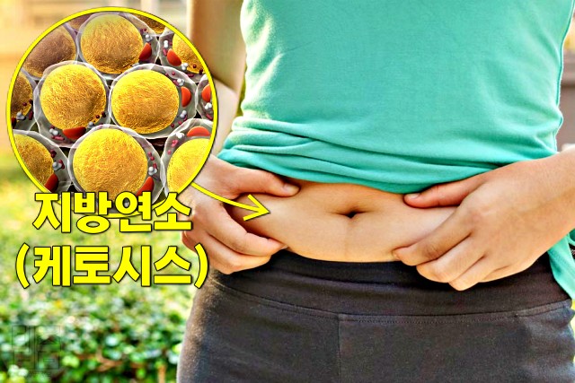 2주동안 탄수화물 끊으면, 탄수화물 끊기 다이어트, 50세부터는 탄수화물 끊어라?, 팁줌