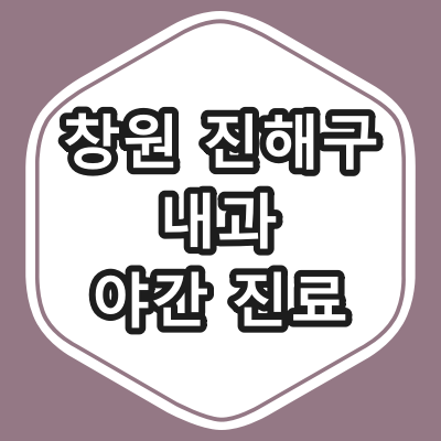 창원 진해구 내과 야간 진료