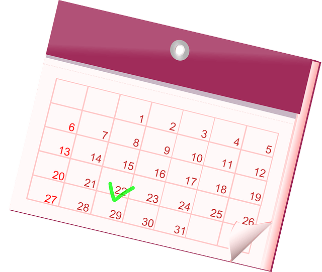 음력양력 변환기 사진