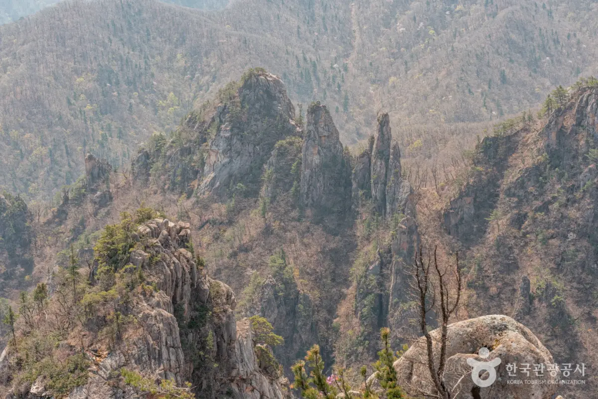 강원도 단풍 설안산 등산대