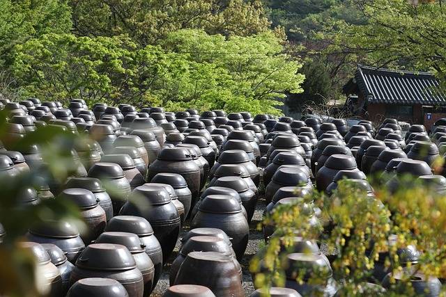 2025 숙박세일페스타 예약 취소 방법과 유의사항 안내