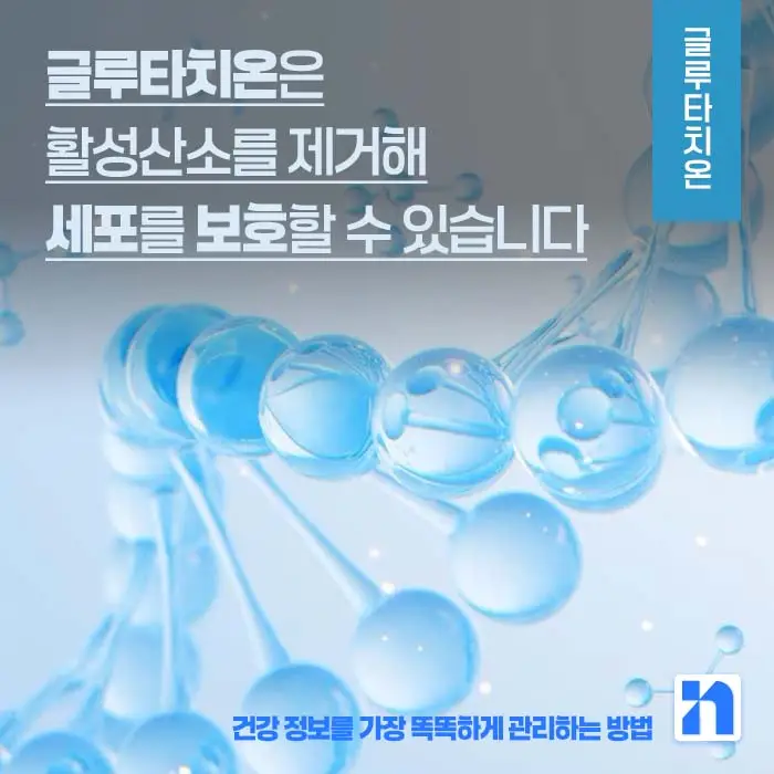 글루타치온 효능