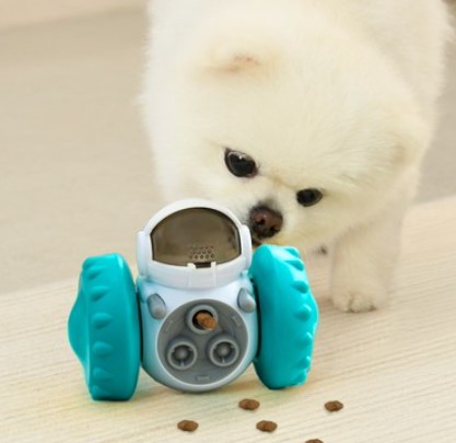 간식 나오는 강아지 장난감