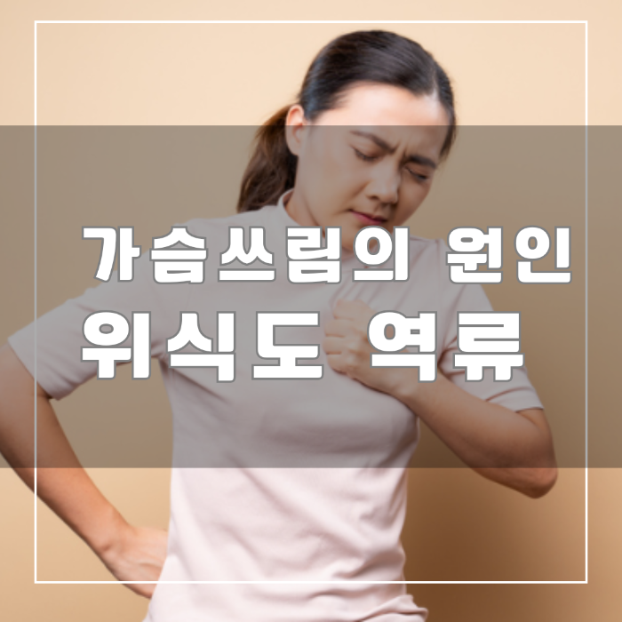 가슴쓰림의 원인 위식도 역류