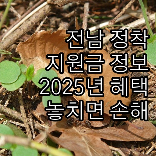 2025년 전라남도 북한이탈주민 정착..