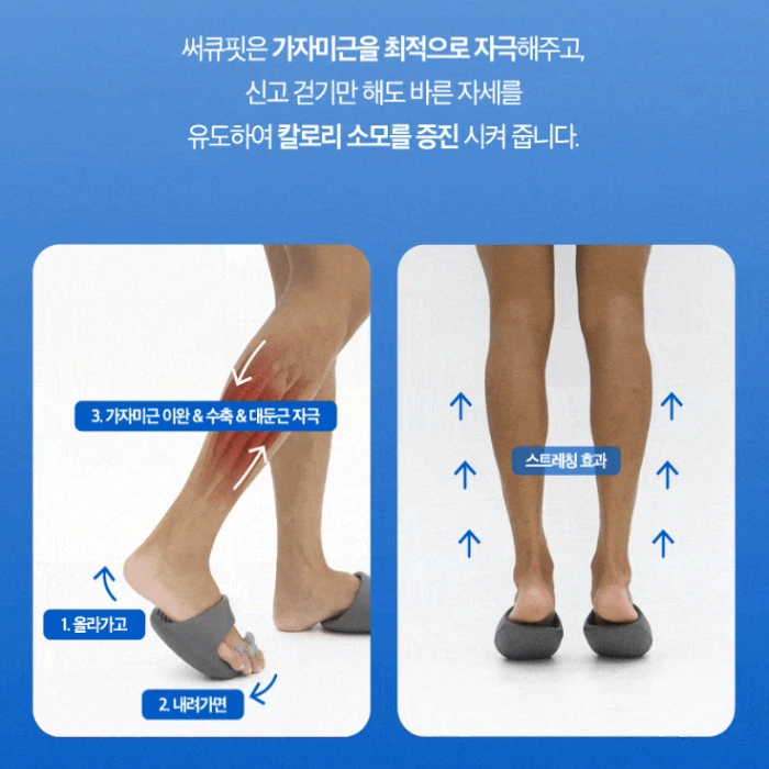 피트컷 써큐핏 내돈내산 후기 효과 부작용 가격 사용법