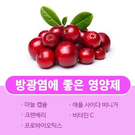 방광염에 좋은 영양제