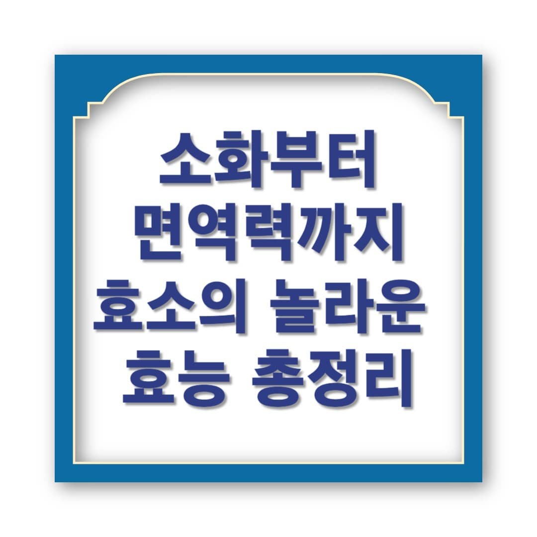 소화부터 면역력까지? 효소의 놀라운 효능 총정리