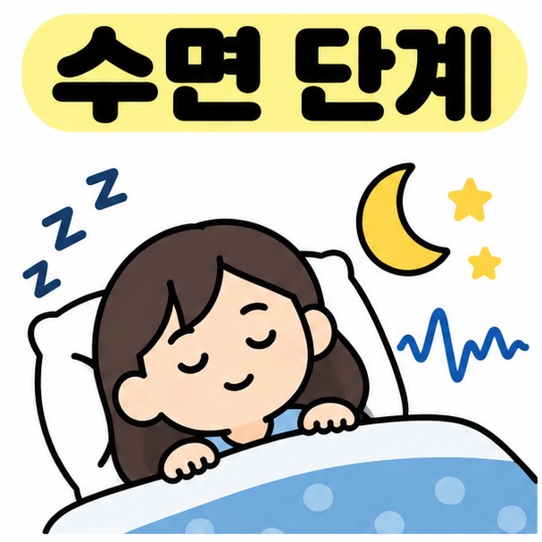 잠든 사람과 수면 주기 그림 옆에 수면 단계 제목을 크게 배치한 카드