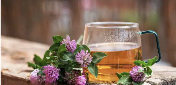 레드클로버 차 (Red Clover Tea)