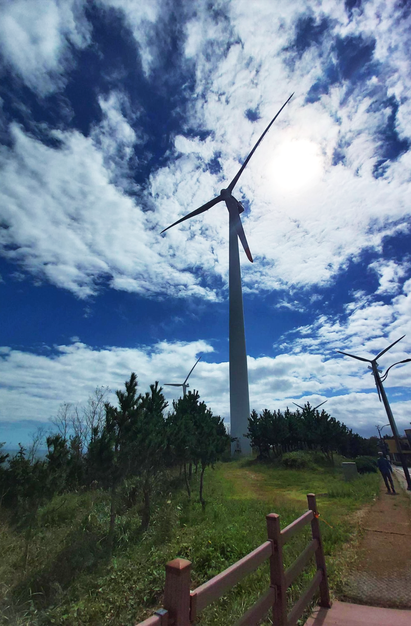 거대한 풍력발전소