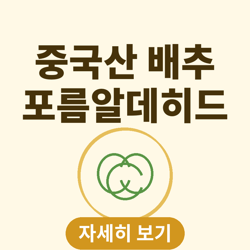 2026 중국산 배추 포름알데히드 논란 썸네일