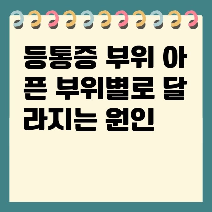 등통증 부위 아픈 부위별로 달라지는 원인