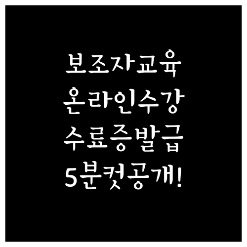 소방안전관리 보조자 실무교육 온라인 ..