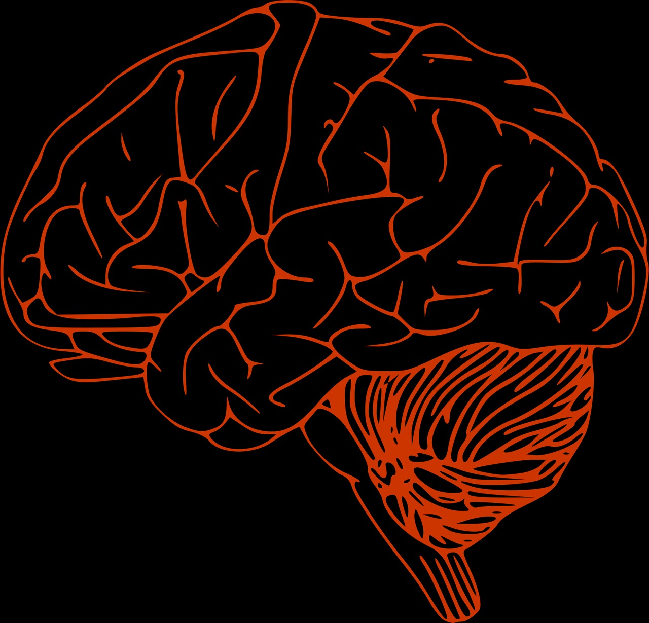 포스파티딜-세린-효능-기억력영양제-집중력개선-부모님건강-뇌영양제
