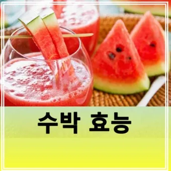 대구 수박껍질 음식물 일반쓰레기 과태료 피하는 법_44