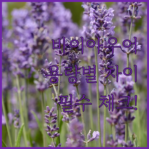 가성비 높은 바이아우어 바디로션 민트..