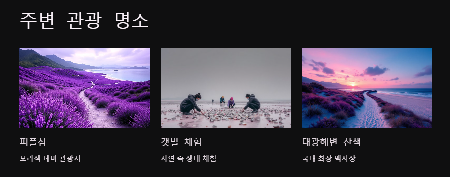 신안 임자도 튤립축제 기간 주차 꿀팁 총정리