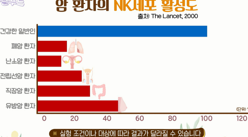 리포좀 비타민C