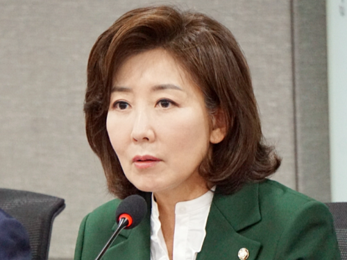 나경원 비대위원장 후보 하마평 이유 | 국민의힘 나경원 나이 고향 학력 딸 자녀 프로필