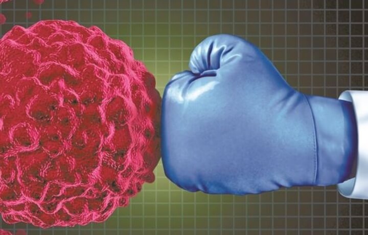 균을-무찌르는-주먹