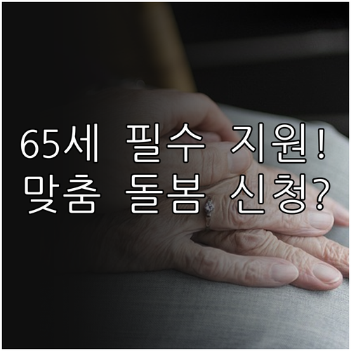 2025 보건소 방문 건강 관리 만 ..