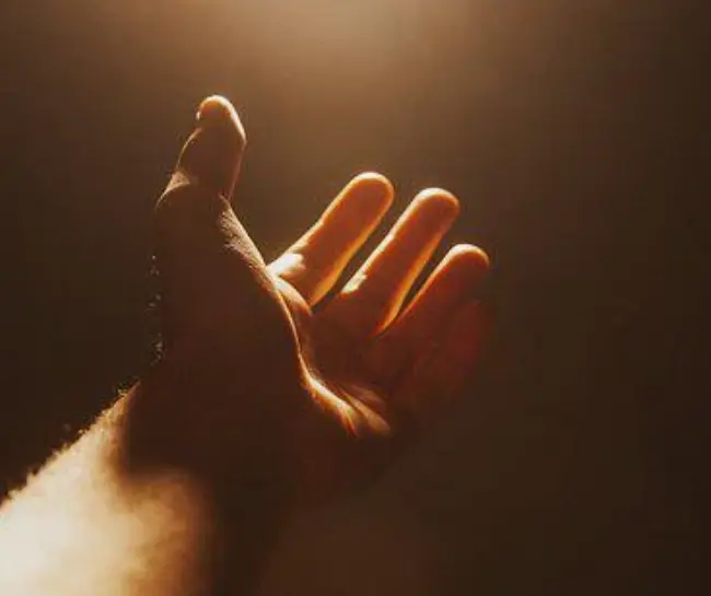 손저림 손목 손가락 마비