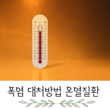 폭염 대처방법 온열질환 증상 예방 응급조치