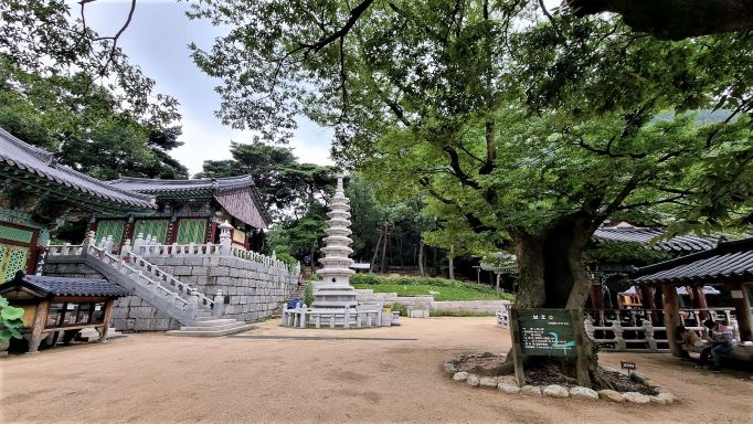 호압사 절마당, 대웅전, 석탑, 노거수,