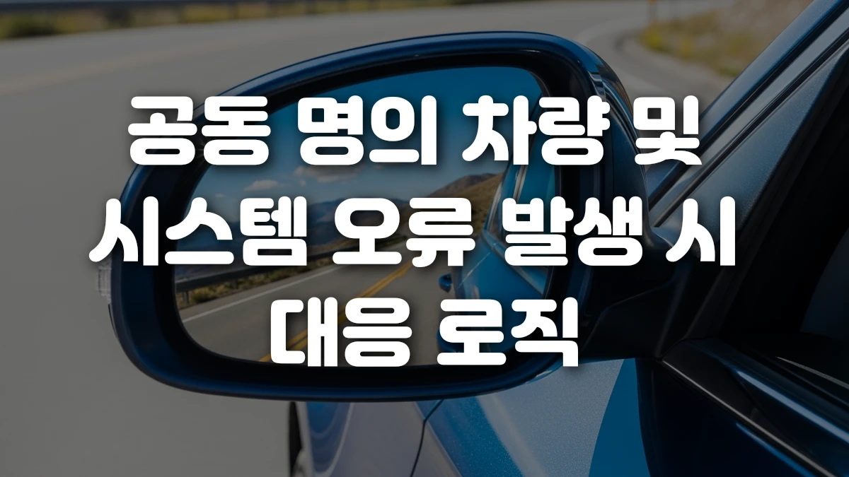 공동 명의 차량 및 시스템 오류 발생 시 대응 로직