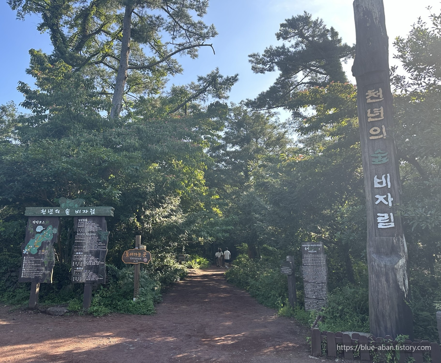 비자림 숲 입구