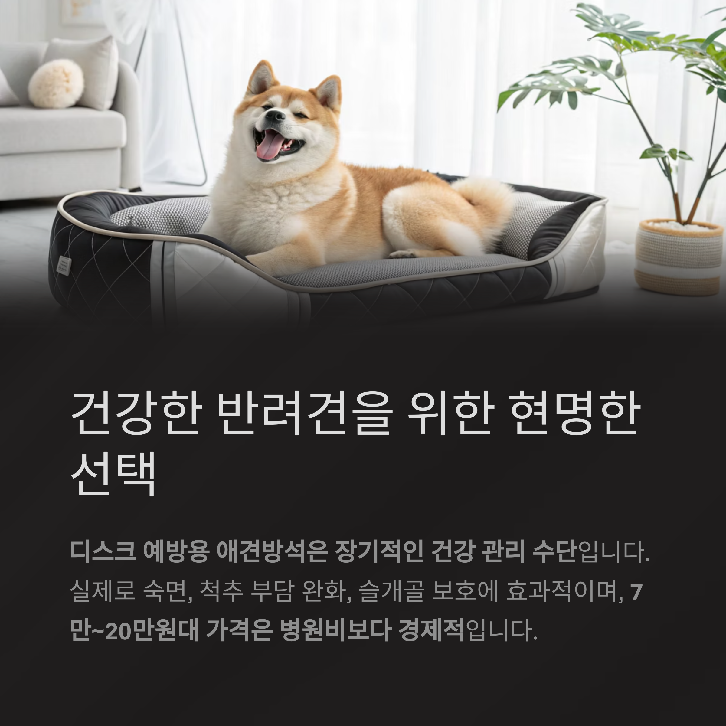 건강한 반려견을 위한 현명한 선택