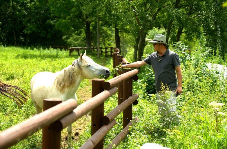 대관령 하늘목장