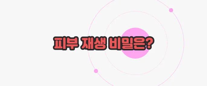 마데카 크림 효능 궁금한 점, 풀어보죠