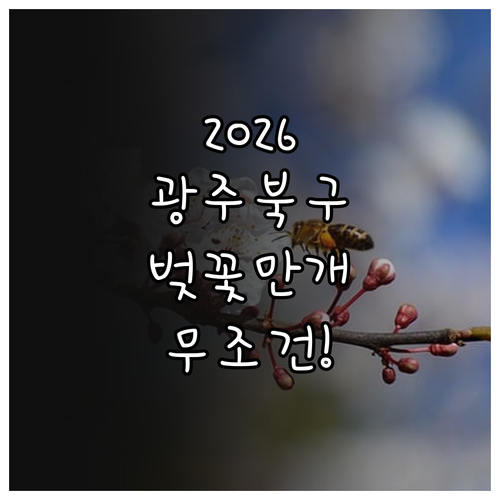 2026년 광주 북구 벚꽃 개화 시기..