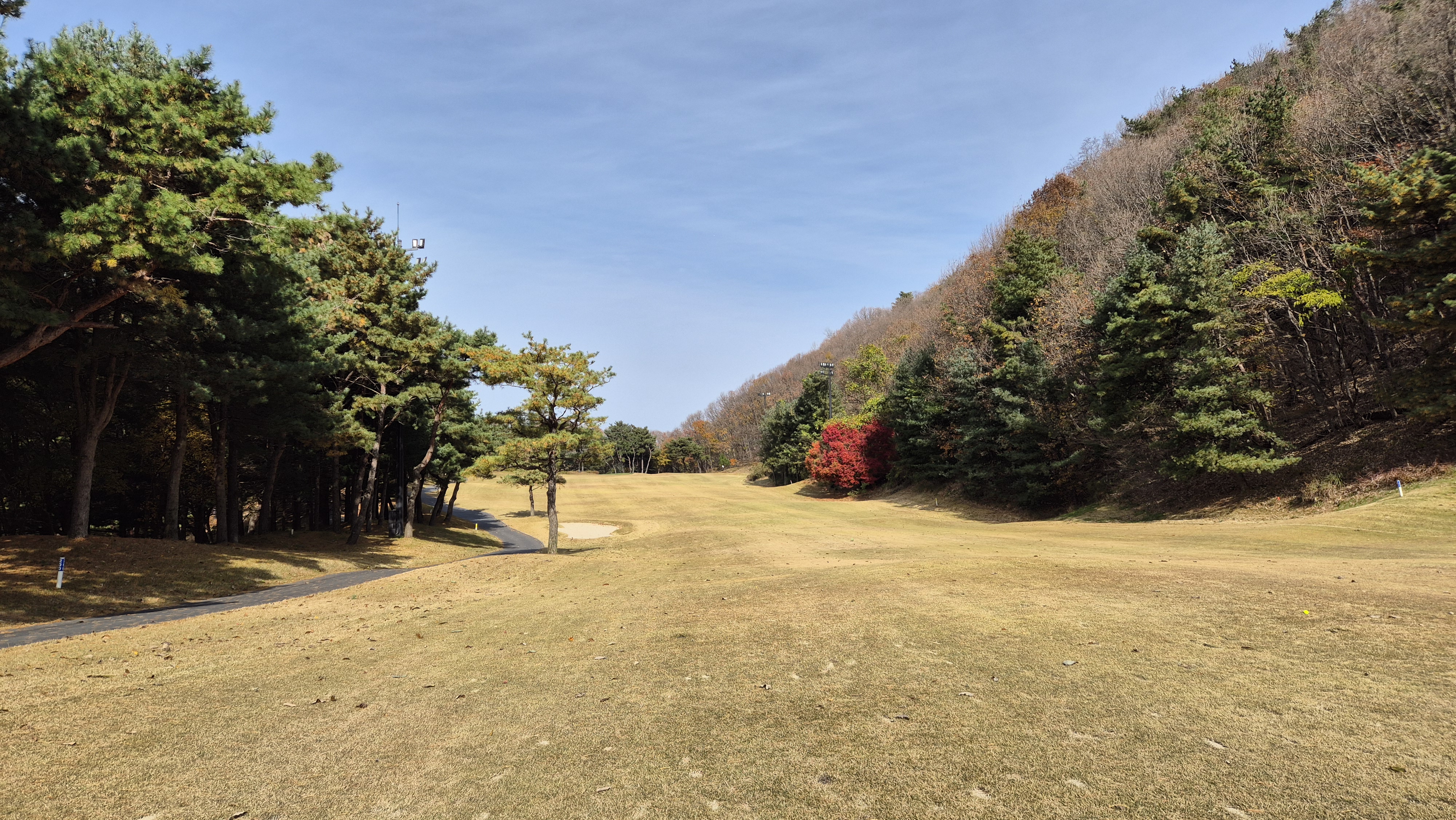 세종에머슨cc 마운틴코스 사진 및 공략 정보