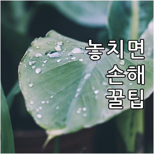 내비게이션 업데이트 방법 초보자도 쉽