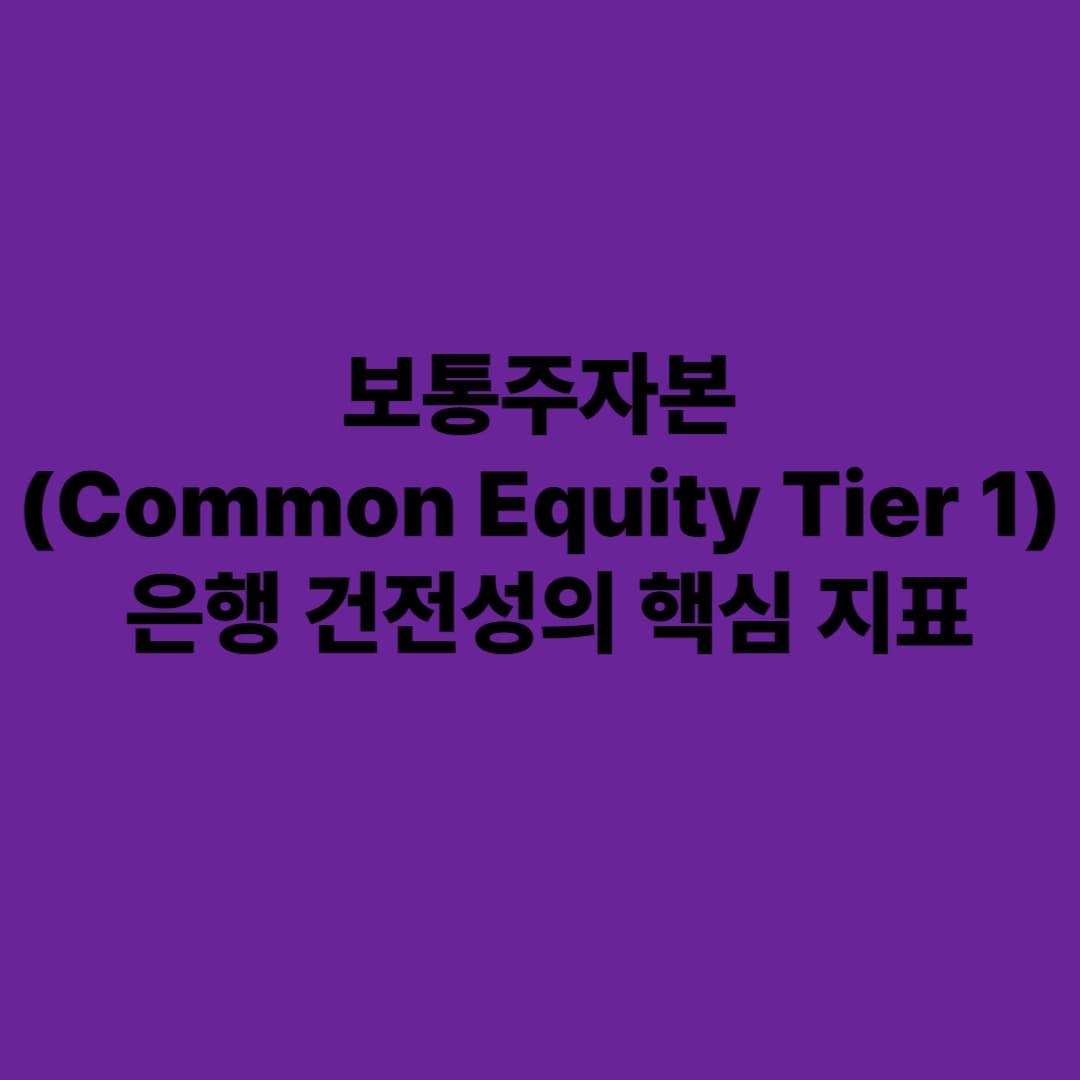 보통주자본(Common Equity Tier 1): 은행 건전성의 핵심 지표