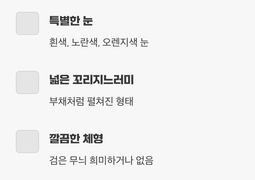 하얀 눈의 귀족, 킹캄파