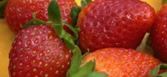 주요 비타민의 종류와 각각의 효능(역할)과 부족시 현상 그리고 부작용