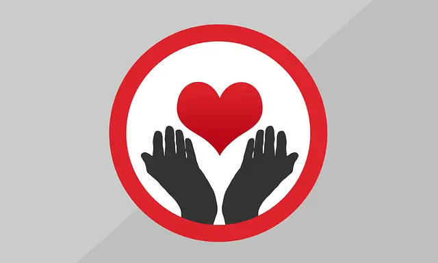 건강보험 지역가입자 vs 직장가입자 차이 - 어떤 게 유리할까?