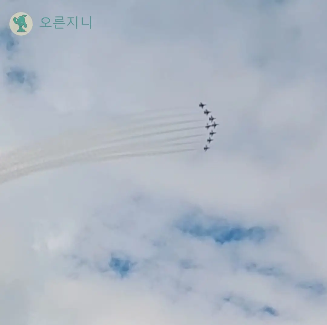 충주-중앙탑-블랙이글스-에어쇼-비행관람