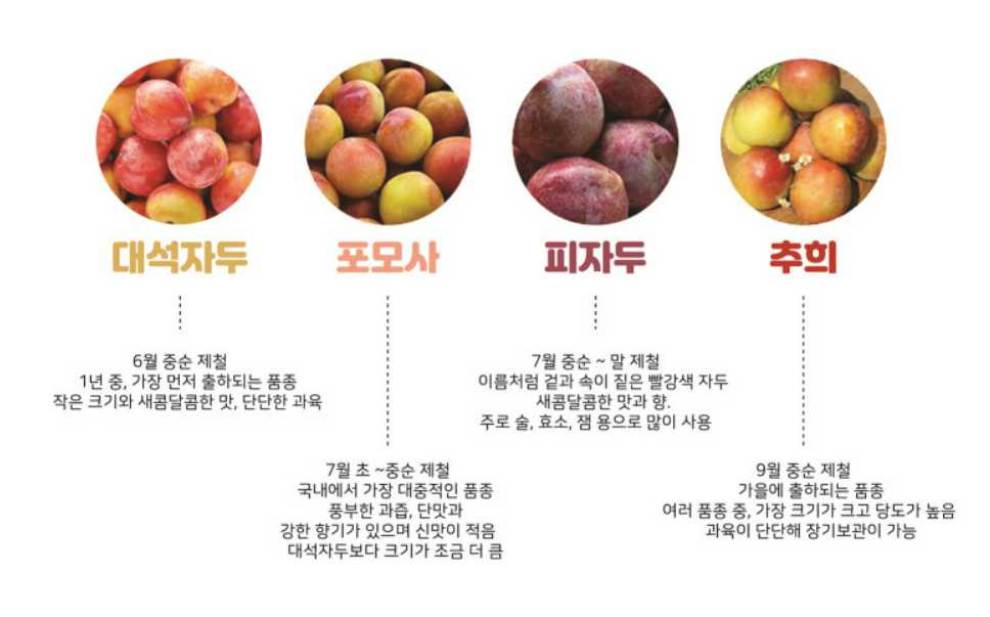 김천자두축제