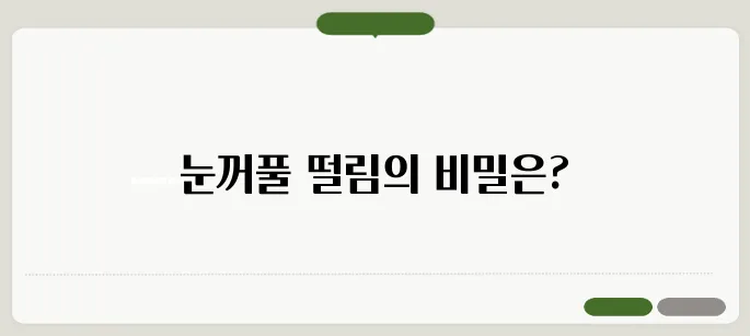 눈꺼풀 떨림현상 원인과 완화하는 법