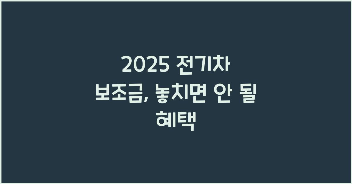 2025 전기차 보조금