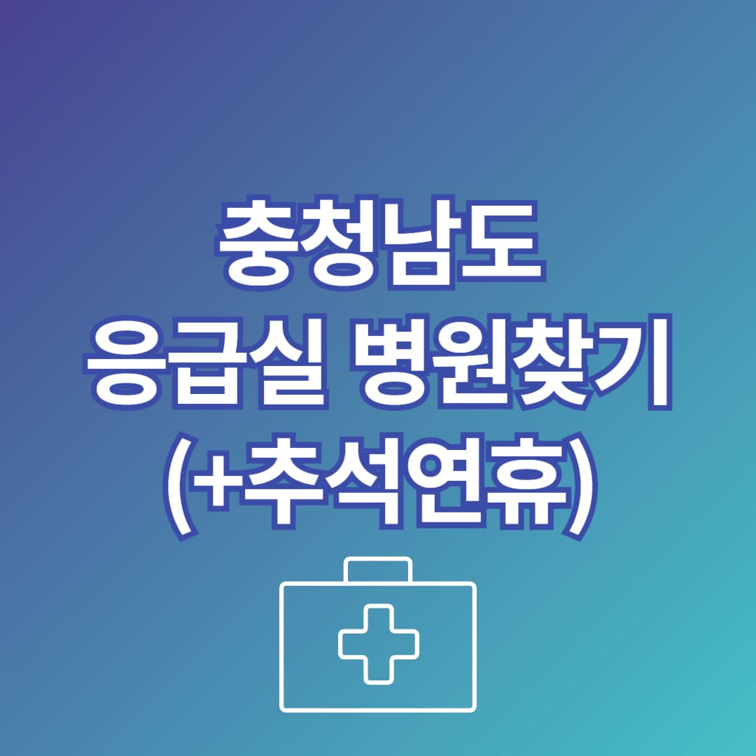 충남 추석 응급실 병원 찾는 방법