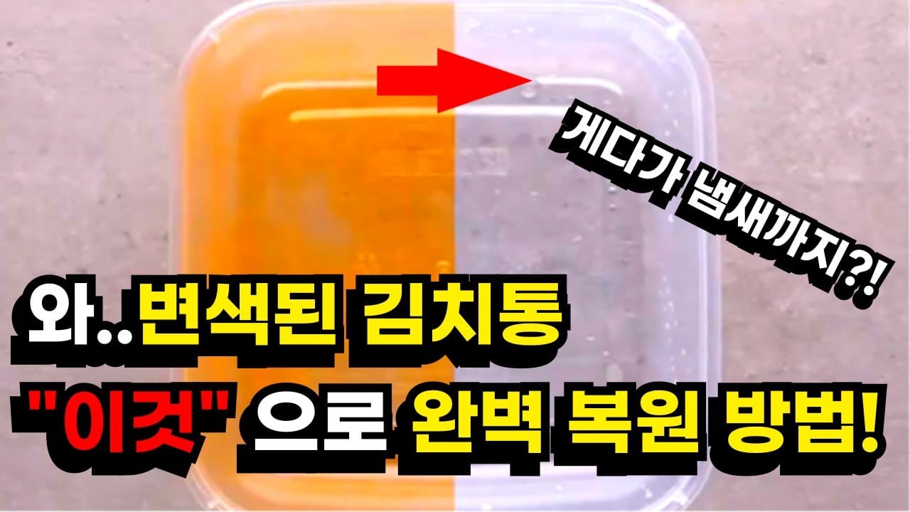 스텐 밀폐용기 고르는법 필요한 이유 플라스틱 착색 비교